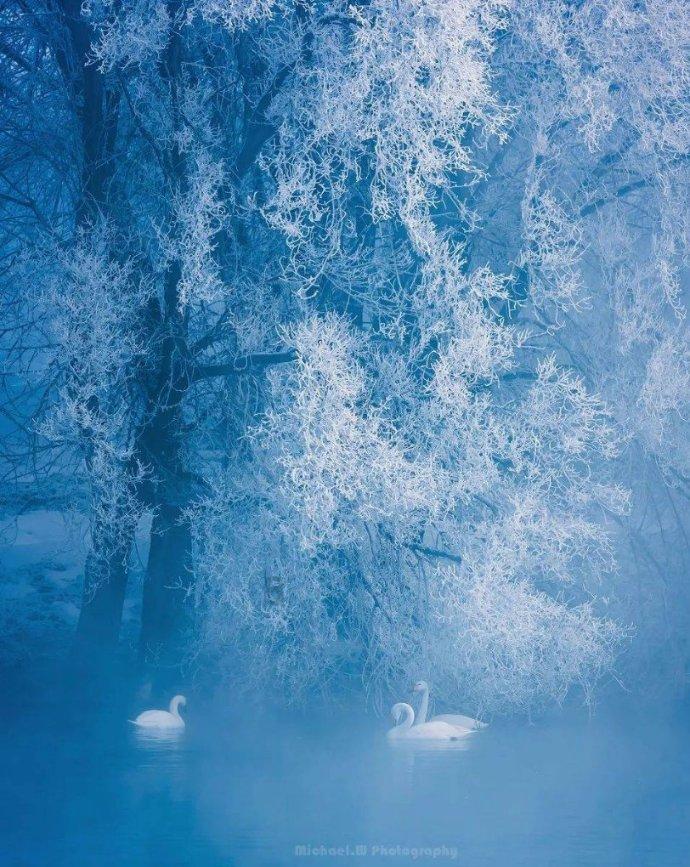 我想问,网上的恋爱、交友为什么那么轻易?-专业的问答网站